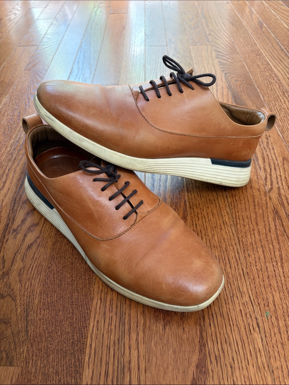 Wolf & Shepherd Crossover Longwing - Honey
